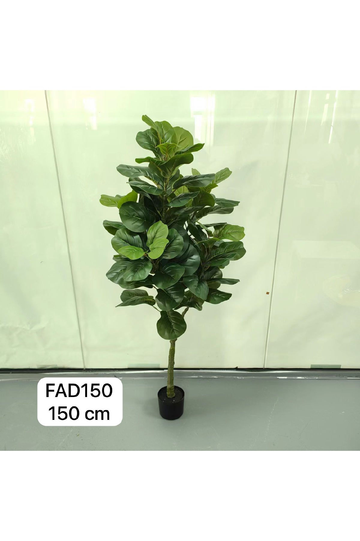 FAD PLANT 150