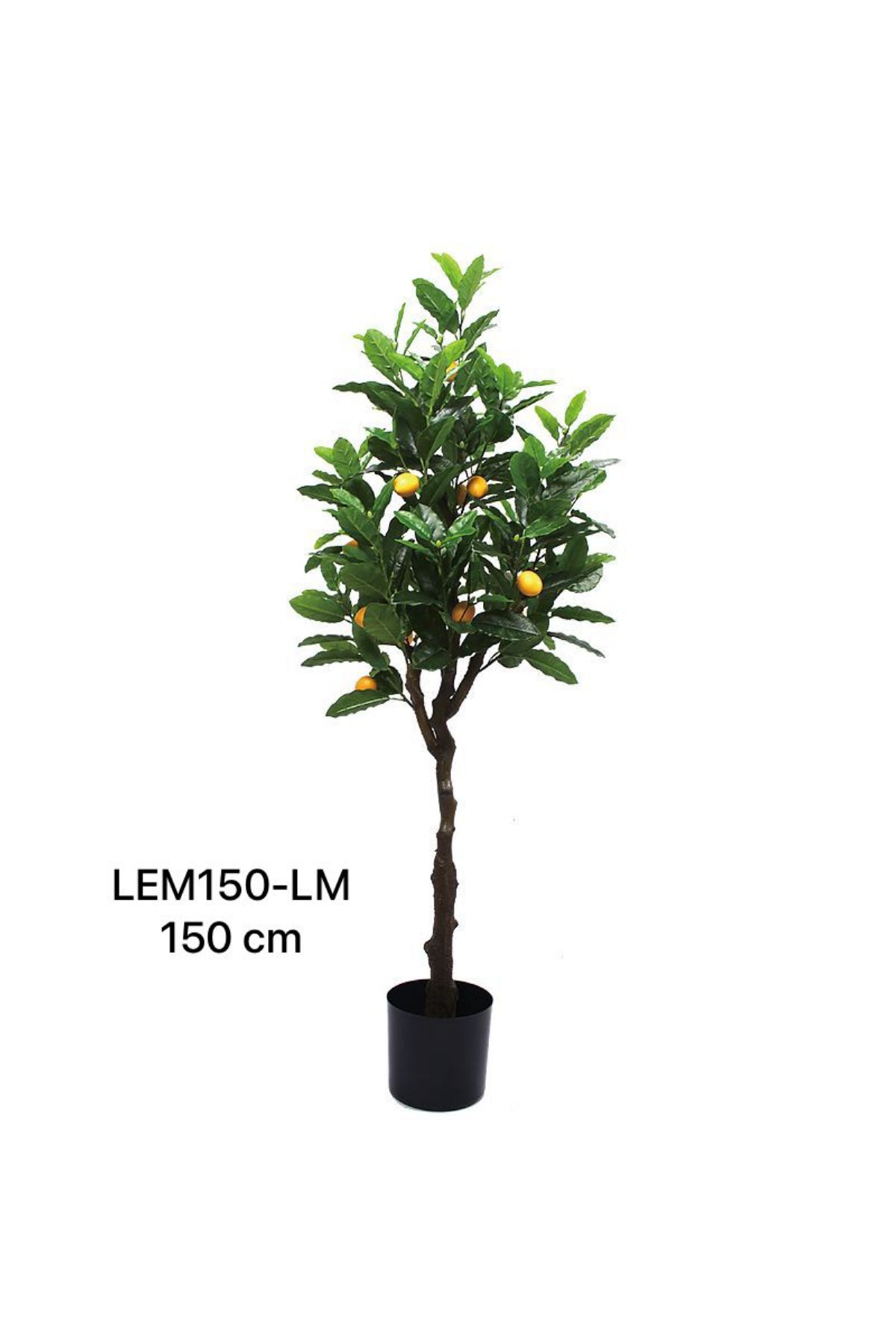 LEM PLANT 150