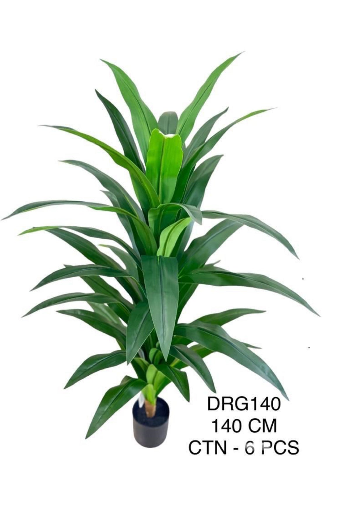 DRG PLANT 140