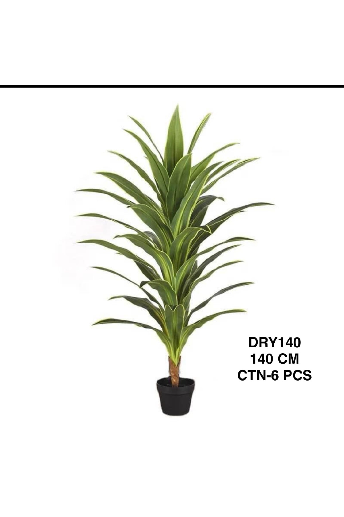 DRY PLANT 140