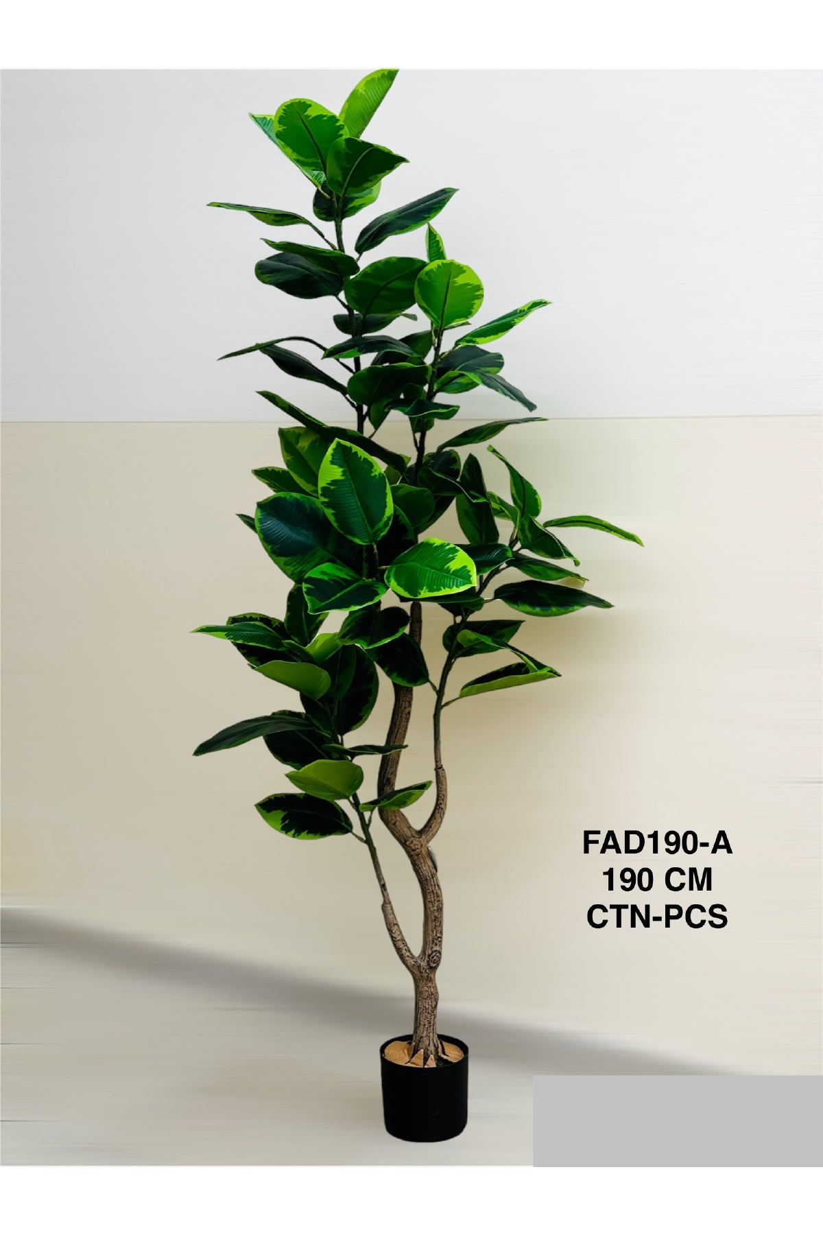 FA PLANT 190