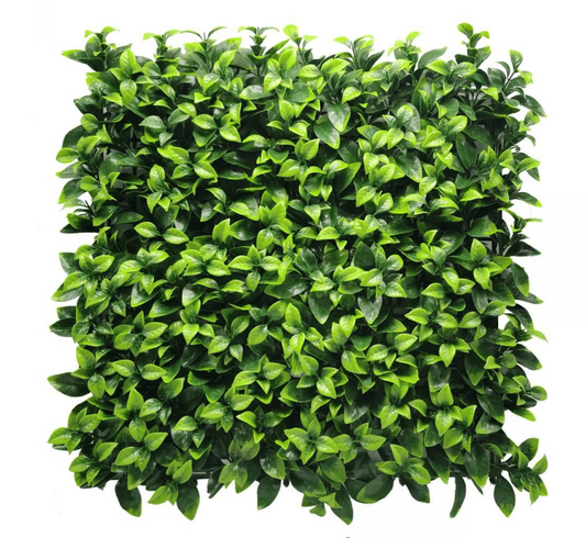 MA138 GREEN WALL