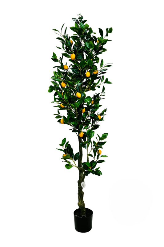 LEM PLANT 180