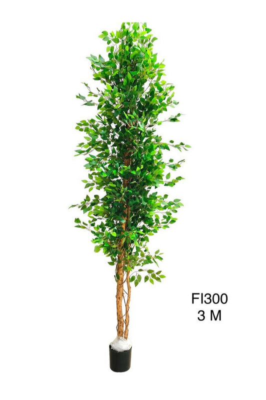 PLANT 300