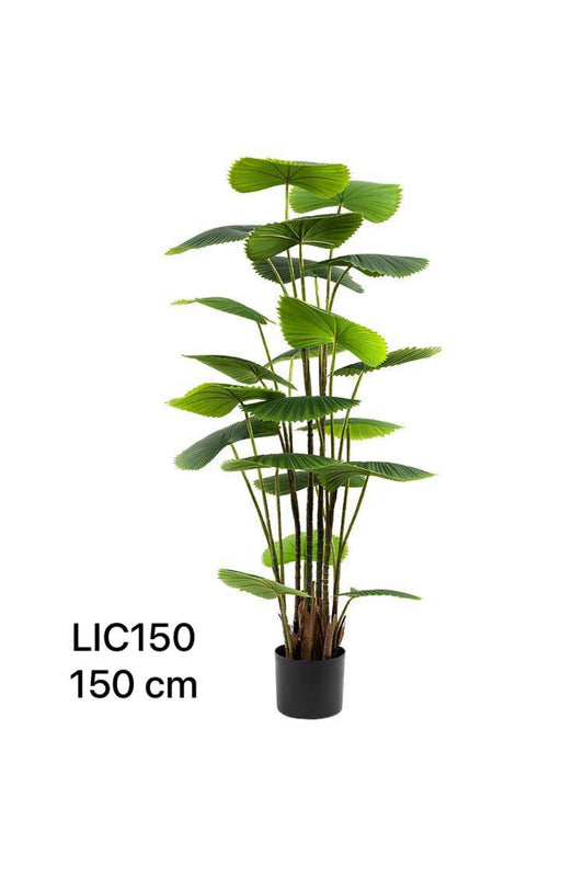 LIC PLANT 150