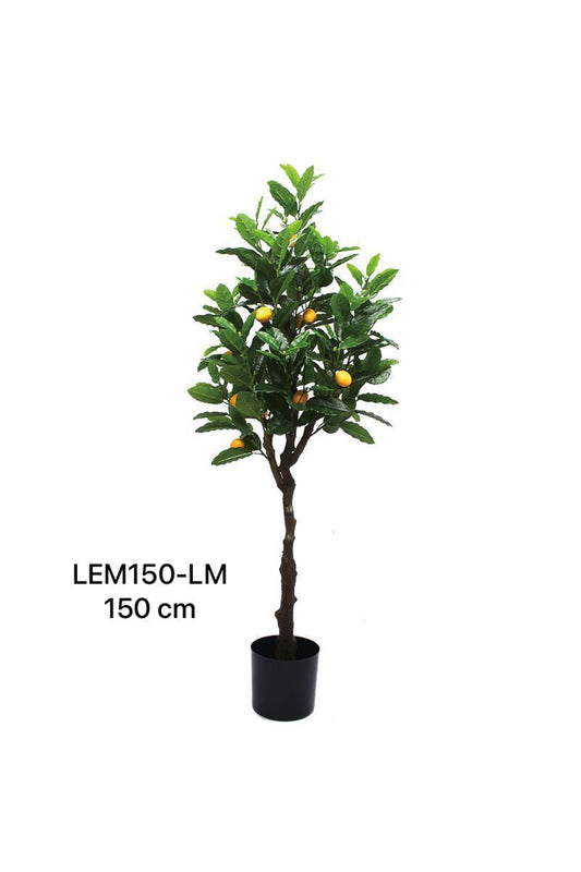LEM PLANT 150