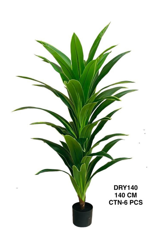 DRY PLANT 140