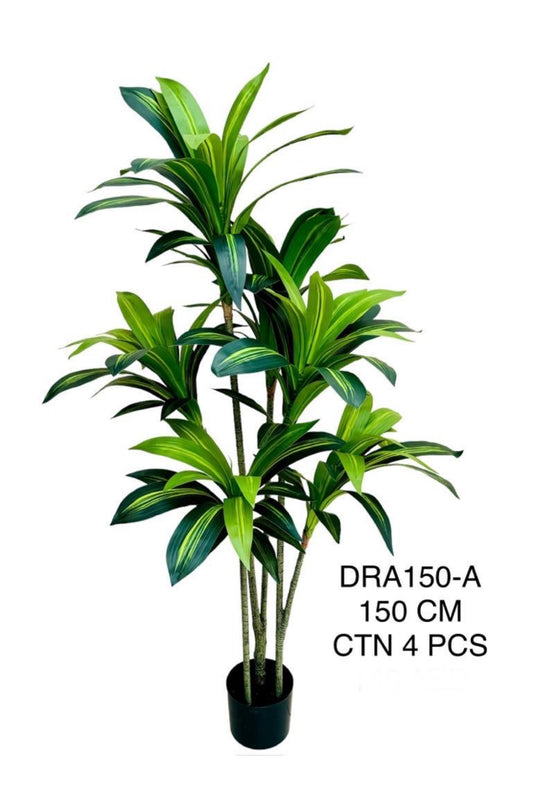 DRA PLANT 150