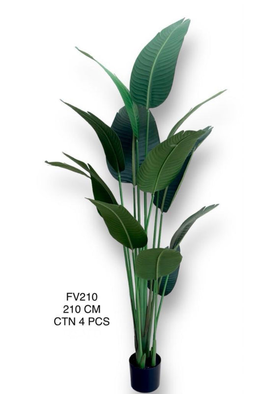 FV PLANT 210