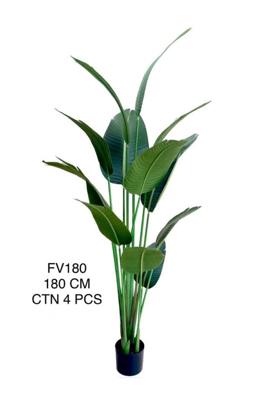 FV PLANT 180