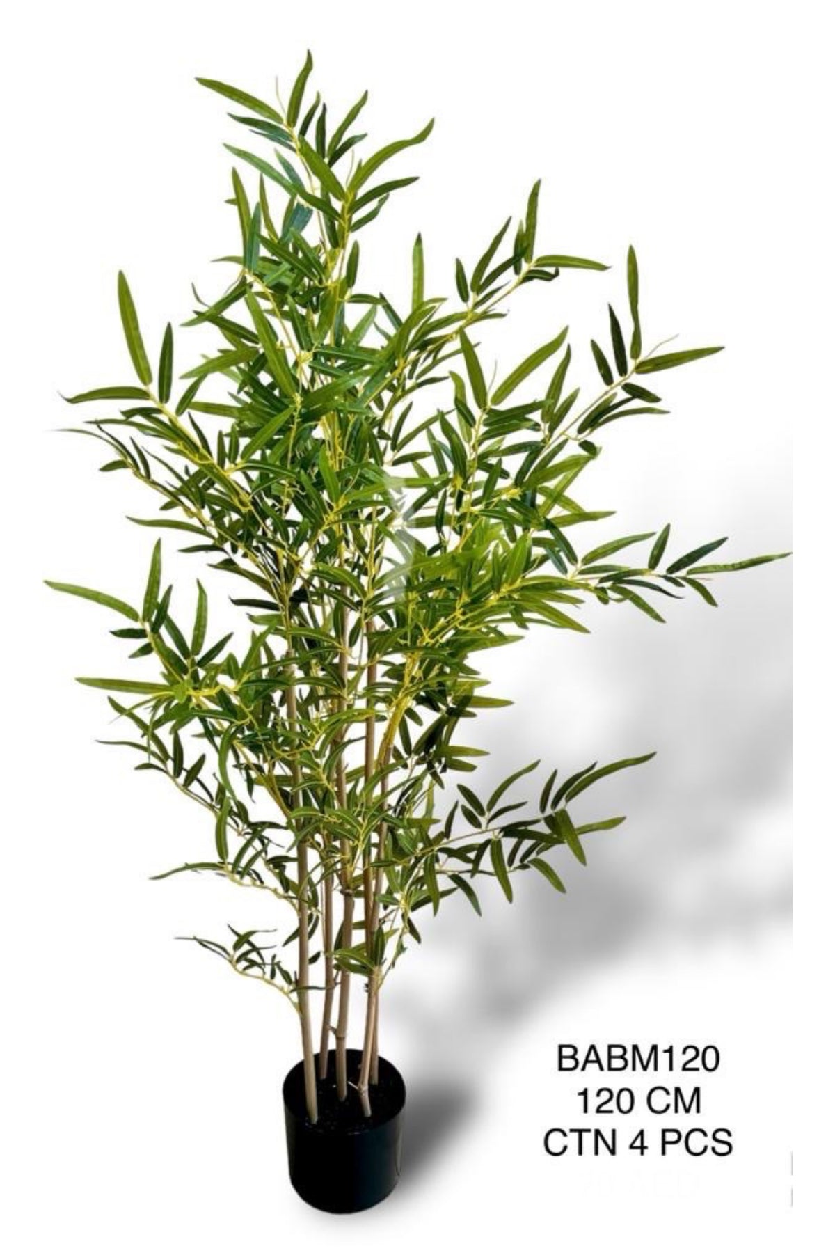 BABM PLANT 120
