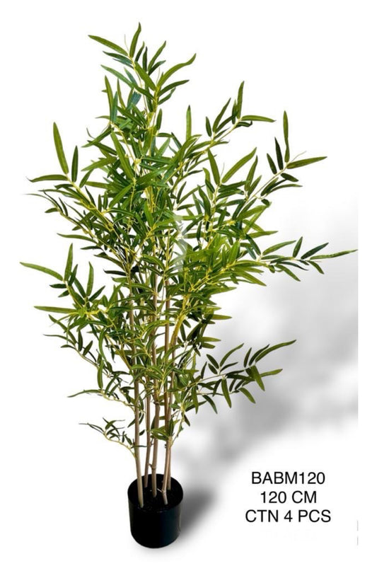 BABM PLANT 120