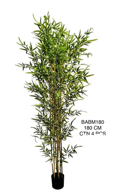 BABM PLANT 180