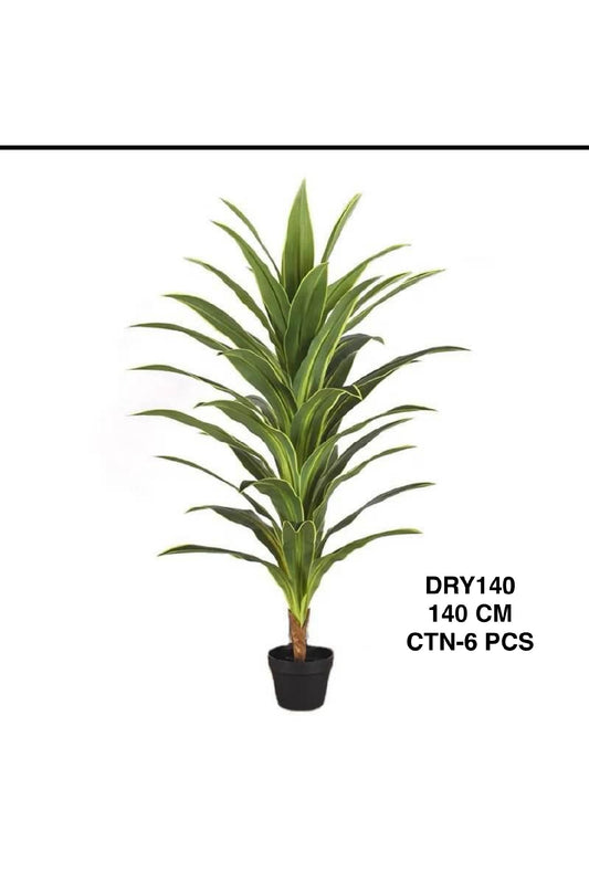 DRY PLANT 140