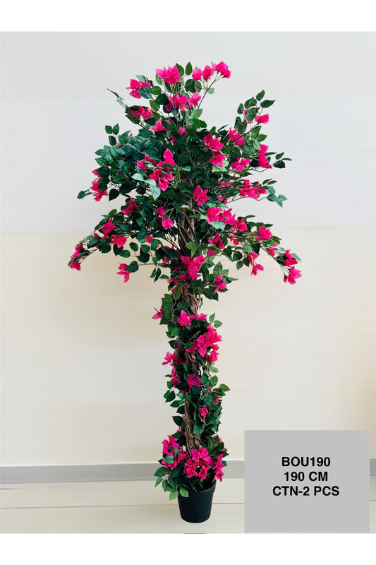 BOU PLANT 190