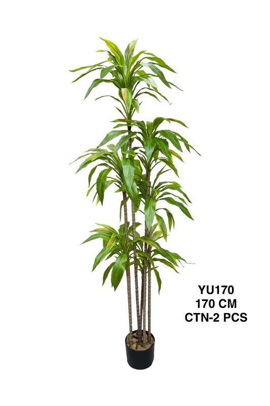 YU PLANT 170