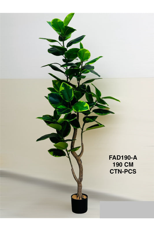 FA PLANT 190