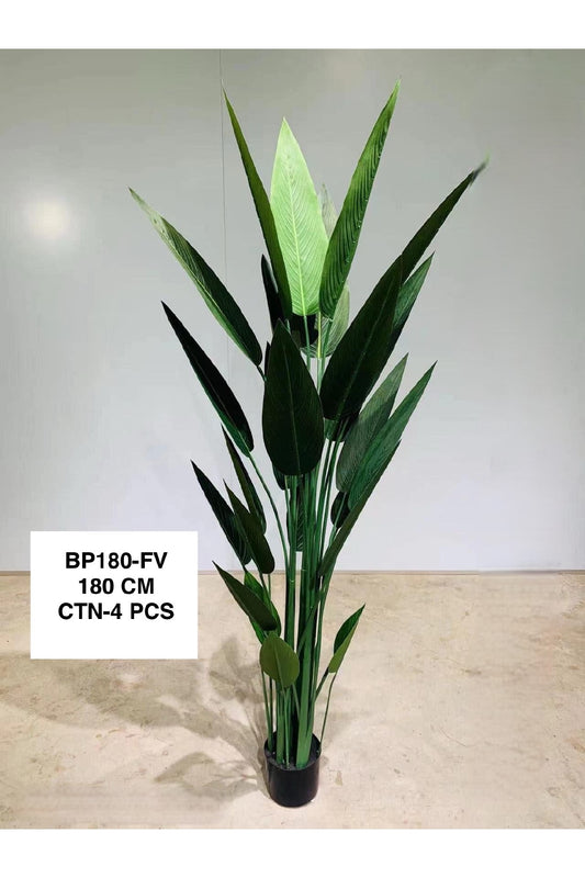 BP PLANT 180