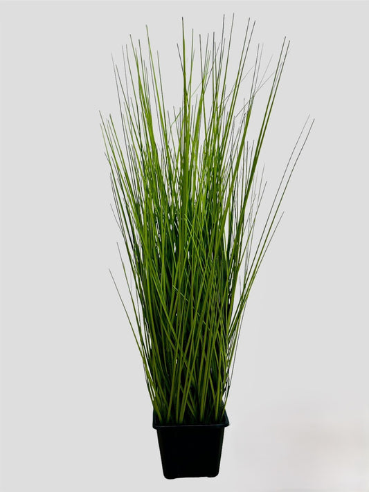 GR PLANT 70